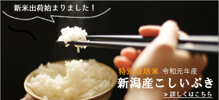 平成28年度こしいぶき