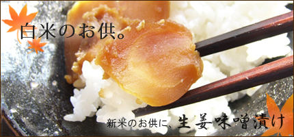 新米のお供 生姜みそ漬 販売
