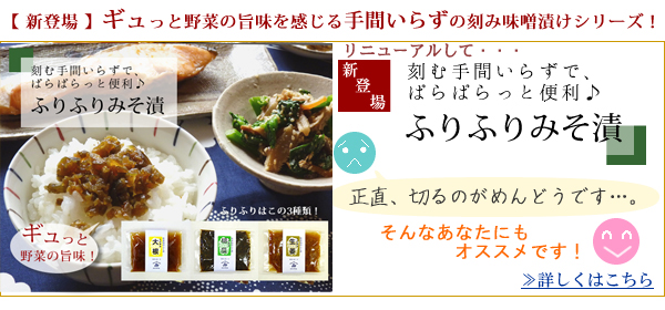 おいしい味噌漬け 通販 新潟産野菜を上質の越後みそにたっぷり漬け込んだ野菜味噌漬けお取り寄せ 越後みそ西 西本町店