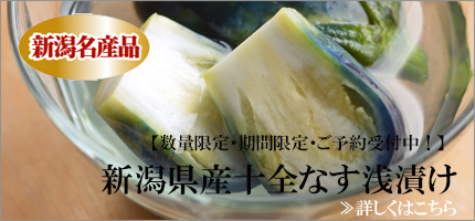 新潟県産十全なす浅漬け
