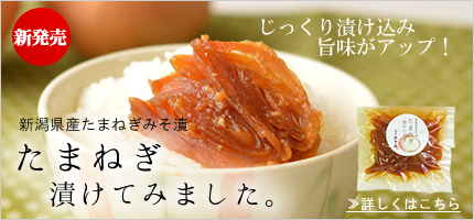 たまねぎ味噌漬けはこちら