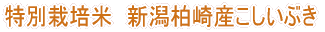はさかけ米