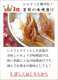 第3位 茗荷の味噌漬け